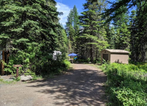 A dirt path leads through a forested area with green trees, a picnic table under an umbrella, and two small buildings.